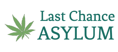 Last Chance Asylum